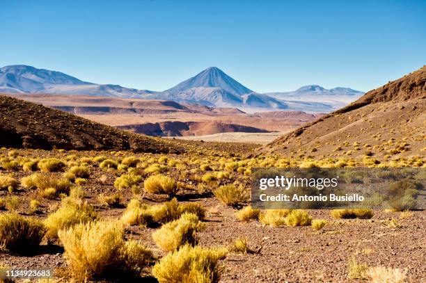 atacama desert - chile desert stock pictures, royalty-free photos & images