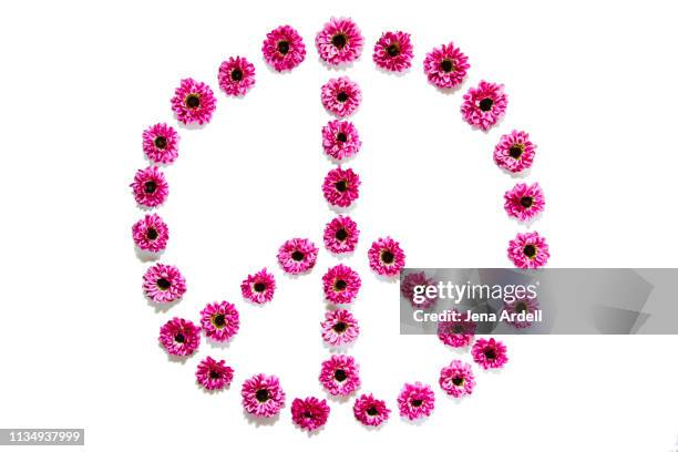 peace sign, flowers arranged in peace sign, peace symbol, flower power, pink daisies on white background, flowers on white background - peace symbol stockfoto's en -beelden