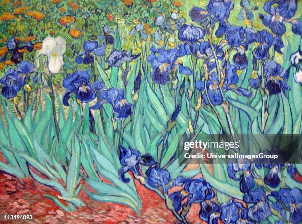 Irises is a painting by Vincent van Gogh 1853 - 1890, Dutch post-Impressionist painter. Irises was painted while Vincent van Gogh was living at the...