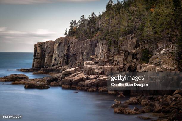 otter cliffs, acadia national park - maine coastline stock pictures, royalty-free photos & images