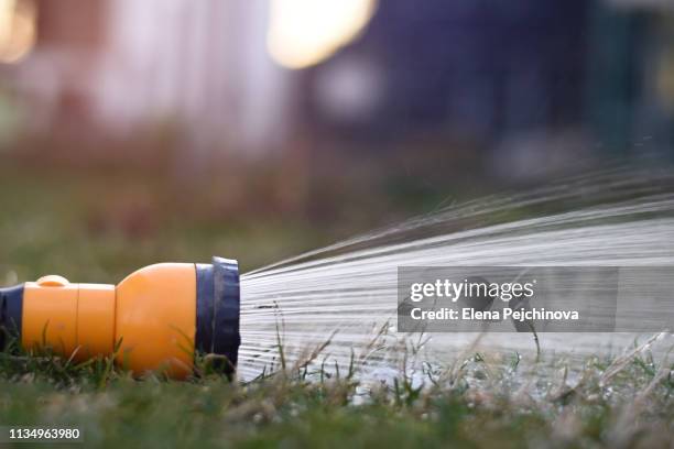 water hose spraying - hosepipe stock pictures, royalty-free photos & images