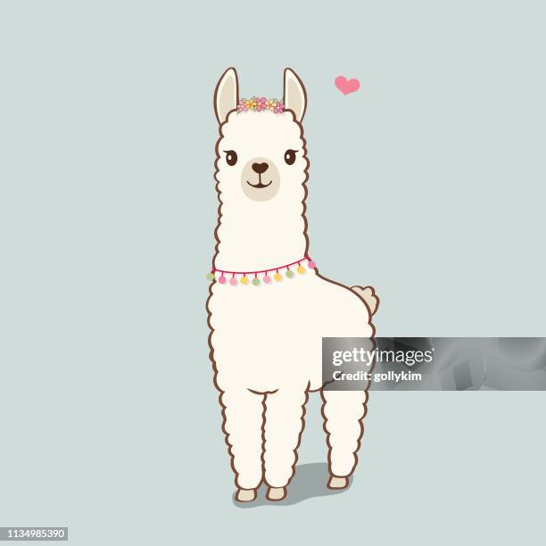 niedliche illustration von llama mit blumenkranz und halskette - alpaka stock-grafiken, -clipart, -cartoons und -symbole