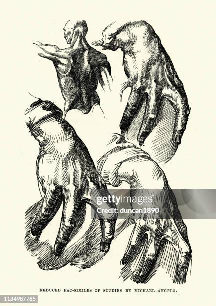 Ilustraciones, imágenes clip art, dibujos animados e iconos de stock de Miguel Angel - Getty Images Ilustraciones, imágenes clip art, dibujos animados e iconos de stock de Miguel Angel - Getty Images