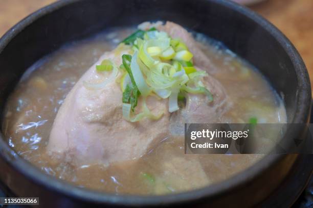 traditional korean food, cousin, korean ginseng chicken soup, samgyetang - samgyetang stock-fotos und bilder