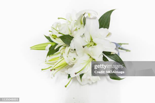 a bouquet of lilies - lily bouquet stock pictures, royalty-free photos & images