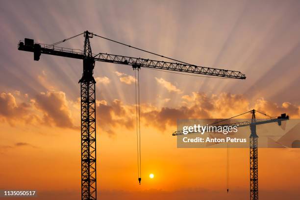 construction crane on the background of a beautiful sky at sunset. - crane stock pictures, royalty-free photos & images