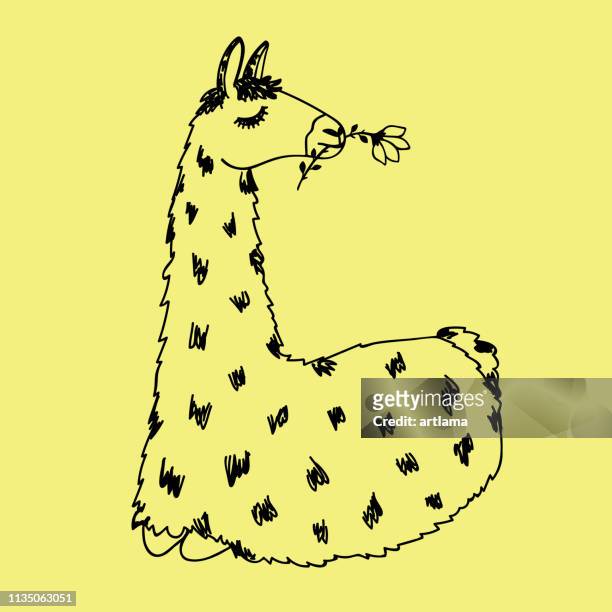 llama vektordoodle - funny llama stock-grafiken, -clipart, -cartoons und -symbole