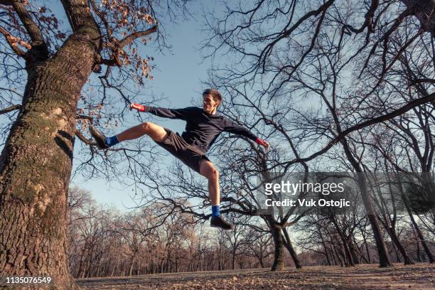 young man training mixed martial arts doing high kick against tree - hög spark bildbanksfoton och bilder