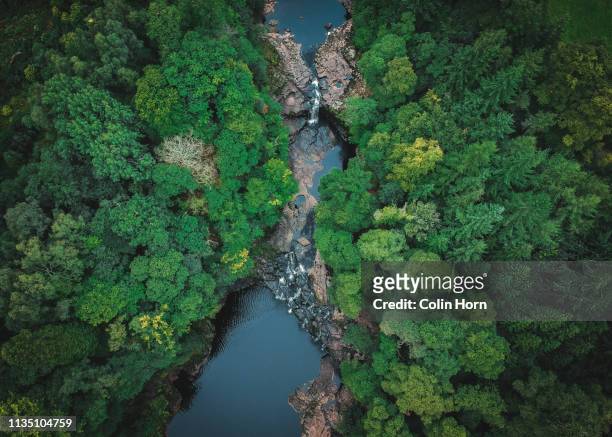the falls of clyde - river clyde - fotografias e filmes do acervo