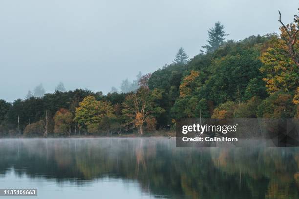 the trossachs - escócia central - fotografias e filmes do acervo