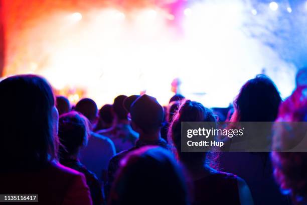 crowd at music show - man silhouette back lit stock pictures, royalty-free photos & images