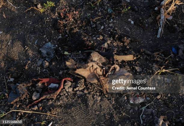 Lone shoe lies amidst debris still on the ground as recovery efforts continue at the crash site of Ethiopian Airlines flight ET302 on March 11, 2019...