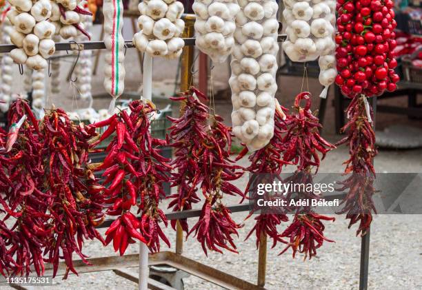 chilli peppers and garlic at the market (hungary) - hungary food stock pictures, royalty-free photos & images