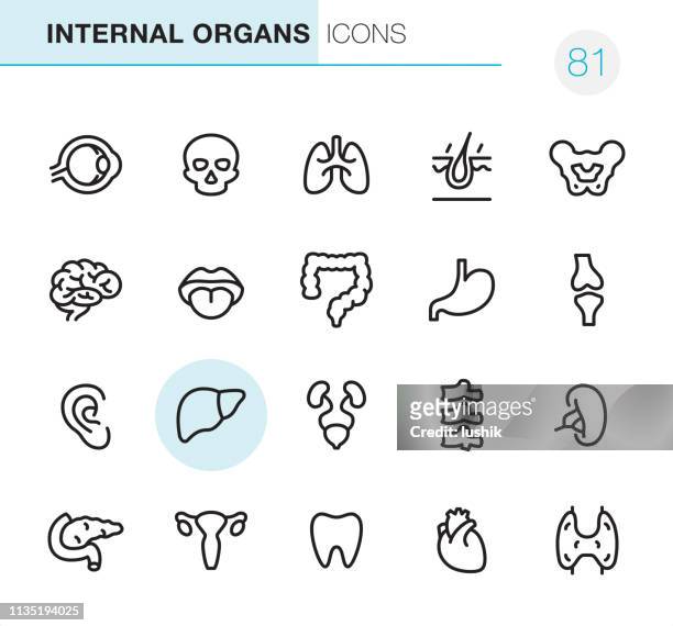 human internal organ - pixel perfect icons - large intestine stock illustrations