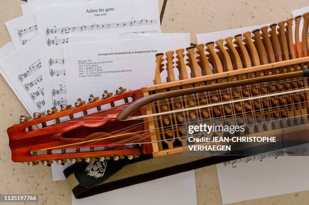 18 Swedish Nyckelharpa Stock Photos, High-Res Pictures, and Images ...