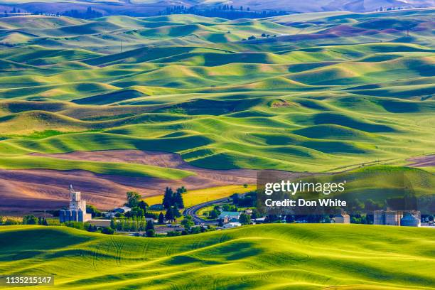 the palouse farm area in washington state - palouse imagens e fotografias de stock