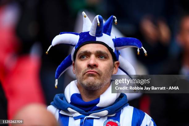 Fan of Brighton & Hove Albion wearing a jester hat looks on during the FA Cup Semi Final match between Manchester City and Brighton and Hove Albion...