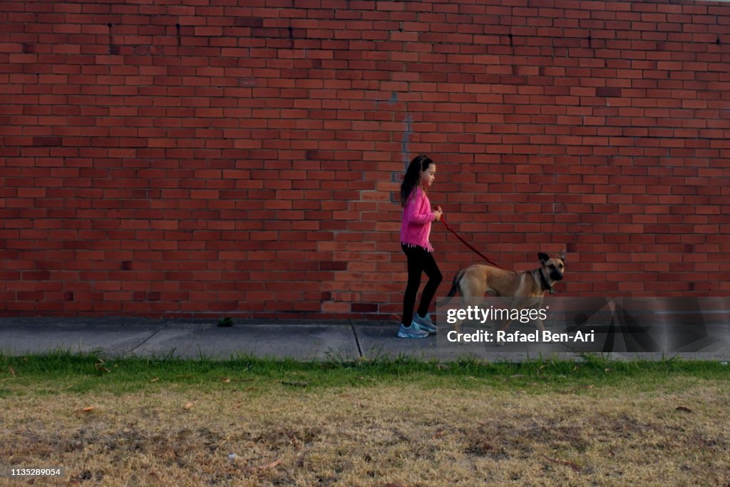 Young girl walking a dog in the street