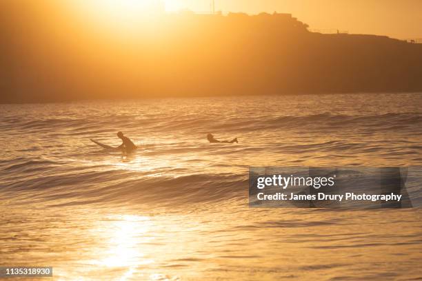 sunrise surfers - sydney dawn stock pictures, royalty-free photos & images