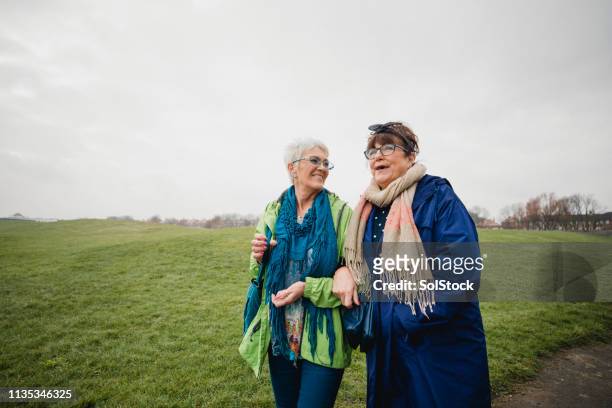 senior female friends taking a walk in the park - british culture walking stock pictures, royalty-free photos & images