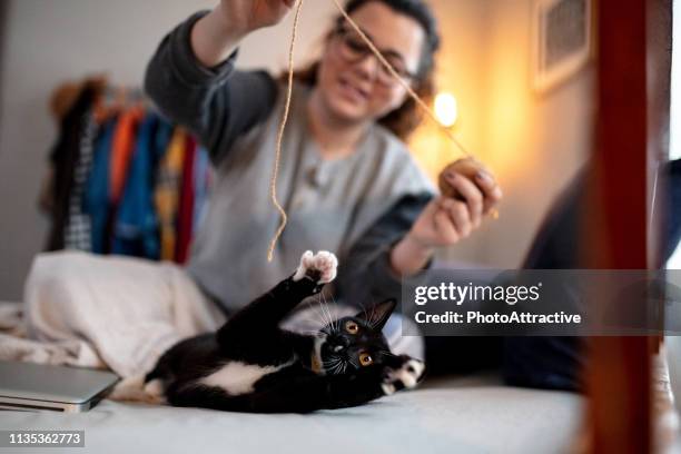 jonge vrouw spelen op het bed met haar kat - cat owner stockfoto's en -beelden