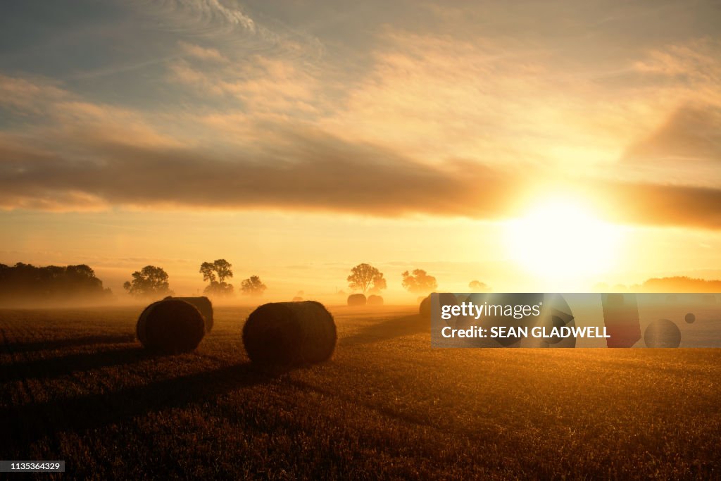 Morning sunrise over harvest field