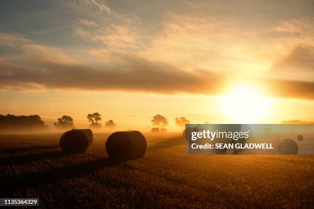 morning sunrise over harvest field - sunny morning stock pictures, royalty-free photos & images