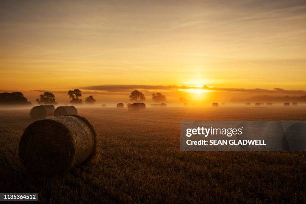 sunrise hay bales - lincolnshire stock pictures, royalty-free photos & images