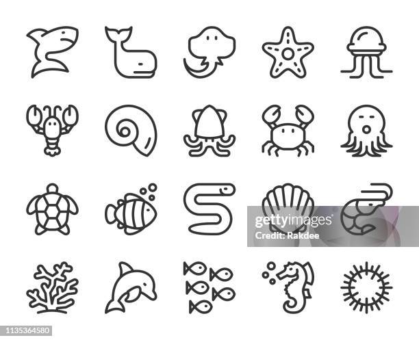 ilustraciones, imágenes clip art, dibujos animados e iconos de stock de iconos de línea de fauna marina y océano - medusa cnidario