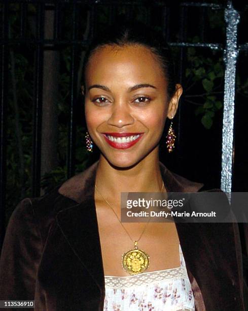Zoe Saldana during 2005 UN World Summit Dinner for MDG's at The Boathouse, Central Park in New York City, New York, United States.