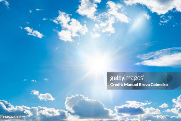 sunny day - clear sky bildbanksfoton och bilder