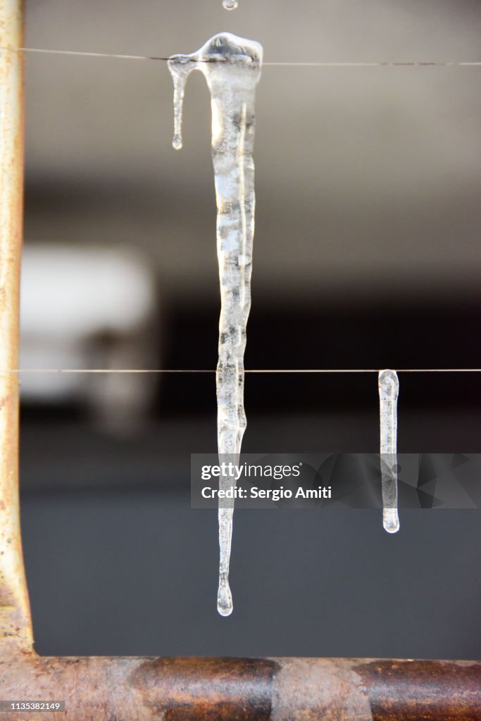 Icicles with water droplets