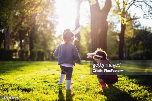 vous cherchez des oeufs de pâques - pâques photos et images de collection