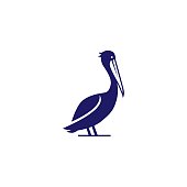 pelican gulf bird coast beach vector icon illustration