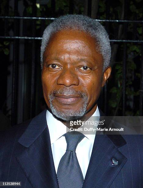Kofi Annan, Secretary General of the United Nations