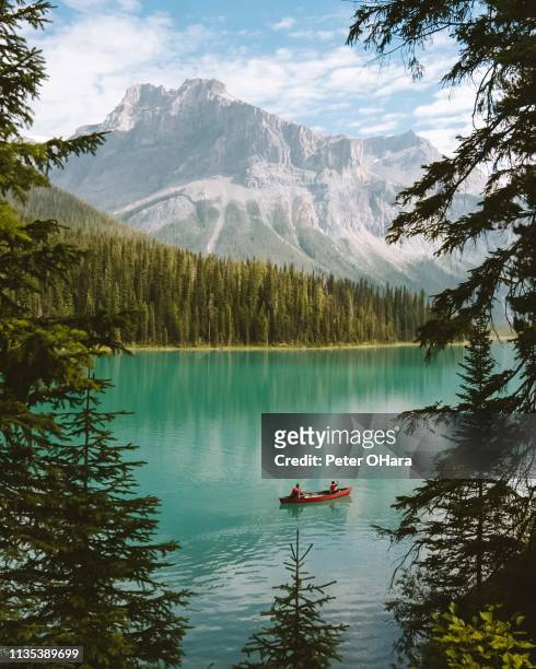 emerald lake banff - canada stock pictures, royalty-free photos & images