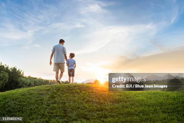 father and son on meadow - short vert photos et images de collection