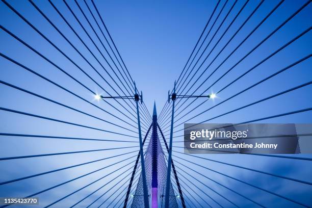 symmetry architectural details of modern bridge. seri wawasan bridge, putrajaya. - architecture symmetry stock-fotos und bilder