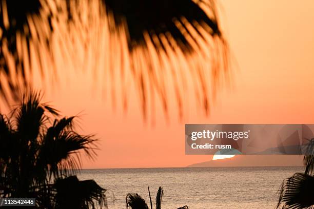 tropical sunset, canary islands - playa de las americas stock pictures, royalty-free photos & images