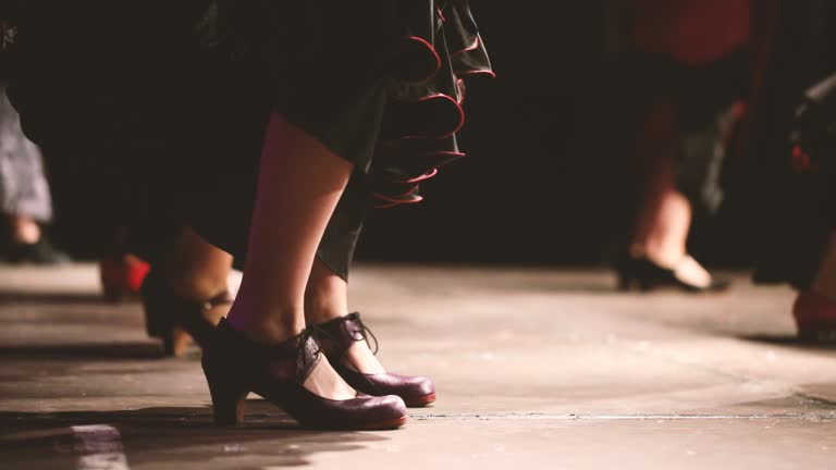 Flamenco shoes