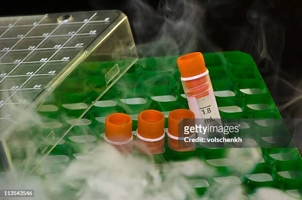 cold sample storage - dry ice stock pictures, royalty-free photos & images