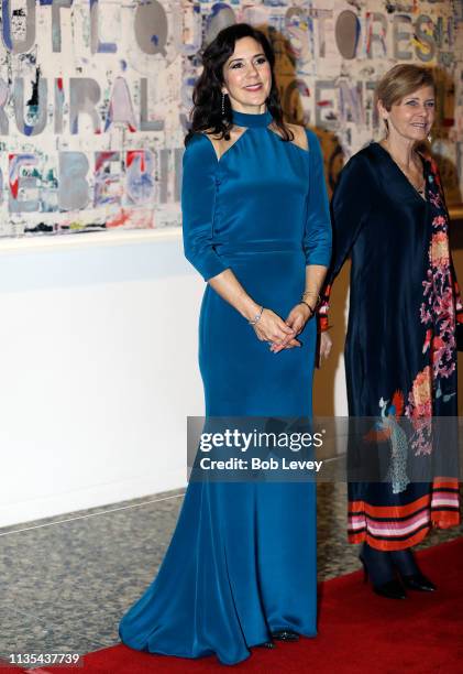 Mary, Crown Princess of Denmark arrives for a Gala Dinner at the Museum of Fine Arts on March 12, 2019 in Houston, Texas.