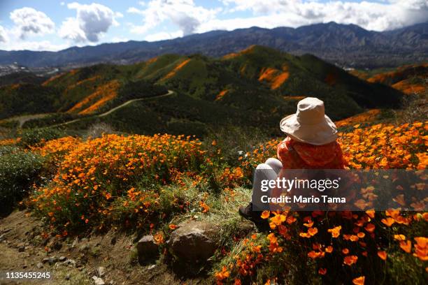 Woman takes in the view of a ‘super bloom’ of wild poppies blanketing the hills of Walker Canyon on March 12, 2019 near Lake Elsinore, California....