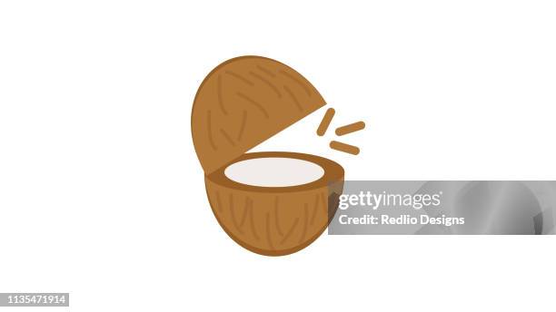 stockillustraties, clipart, cartoons en iconen met kokosnoot icoon vector - kaf