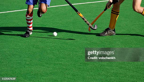 hooked - outdoor hockey stock pictures, royalty-free photos & images