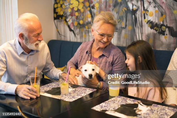 grandparents and their granddaughter in a cafe - straw dogs stock pictures, royalty-free photos & images