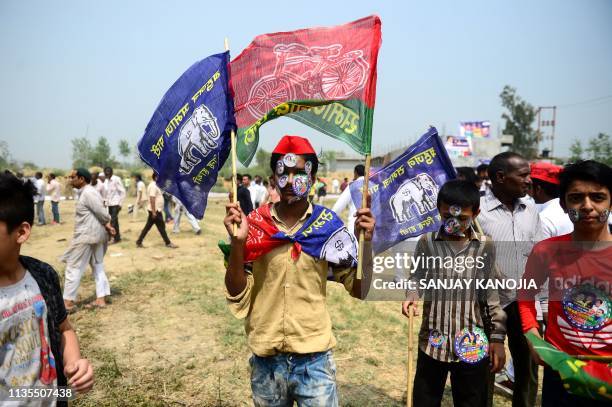 An Indian supporter of Bahujan Samaj Party , Samajwadi Party and Rashtriya Lok Dal waves party flags at the SP-BSP-RLD alliance's first joint rally...