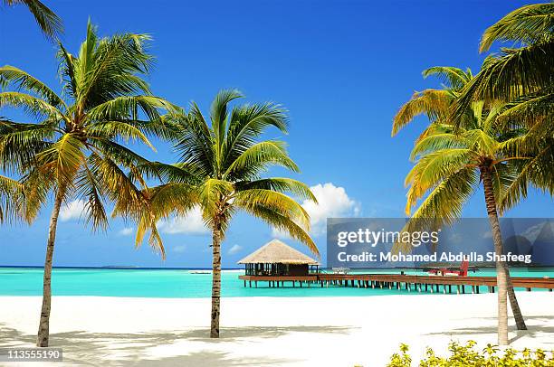 tropical island and lagoon, maldives, indian ocean - beach hut fotografías e imágenes de stock