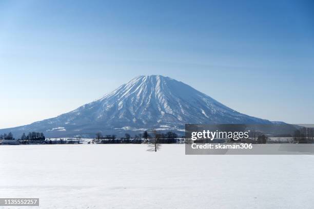 beautiful landscape winter and snow season mount yotei  near niseko hokkaido japan 2019 - mount yotei bildbanksfoton och bilder