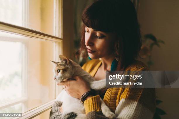 gezellig huis - cat and owner stockfoto's en -beelden
